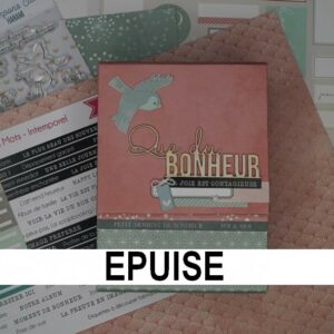 Kit Mini Album "Que du bonheur"